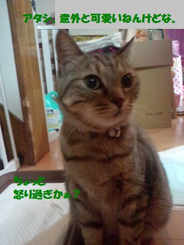 2012083001570001.jpg