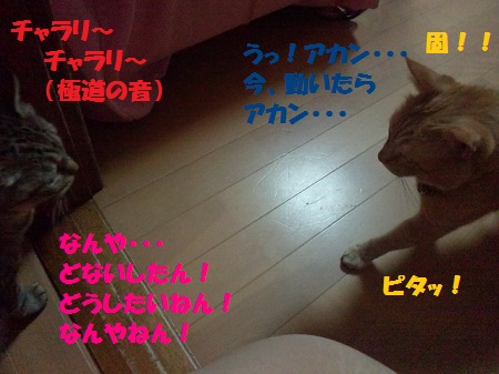 2012083001570003.jpg