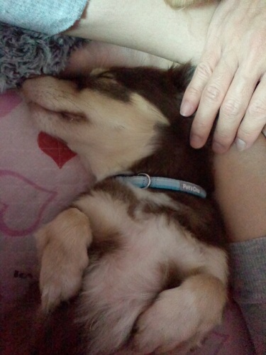 2012090502030000.jpg