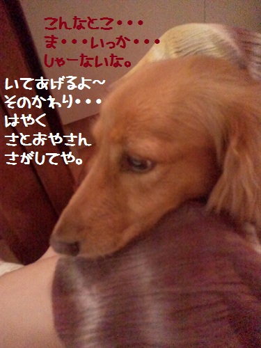 2012091619030001.jpg