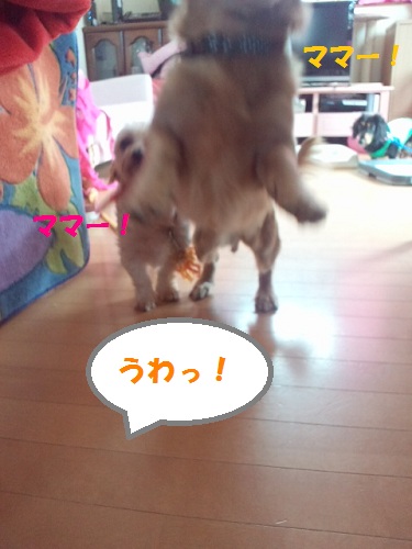 2012100713080001.jpg