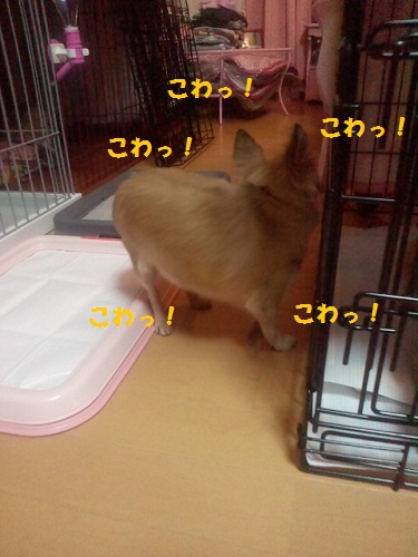 2012100720440000.jpg