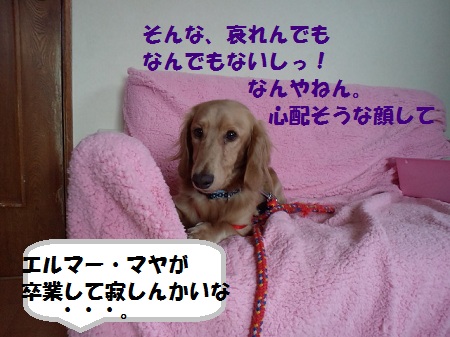 2012103013080004.jpg