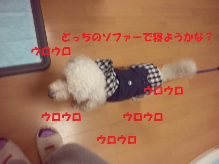 2012111116120001.jpg