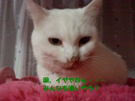 2012111800590000.jpg