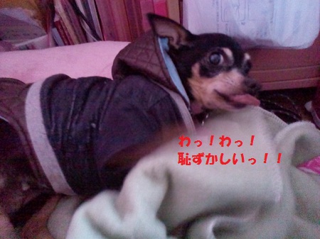 2012122814310000.jpg