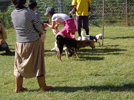 DSC00494.jpg