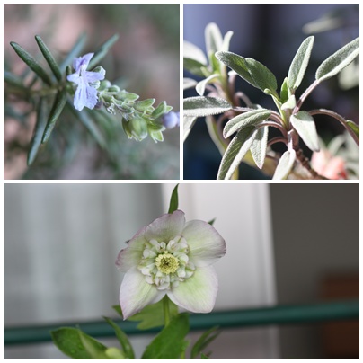 20130321_1.jpg