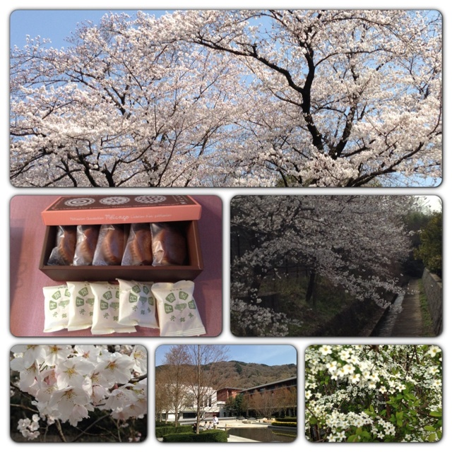 20130403_7.jpg