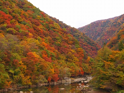 PA310258.jpg