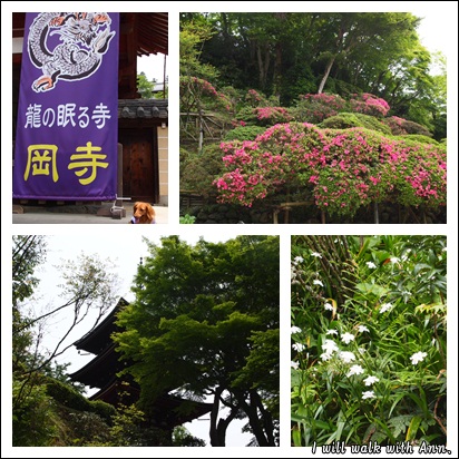 20120517-1.jpg