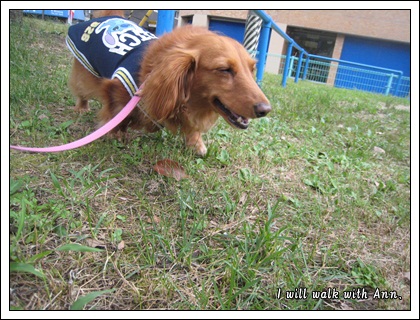 20120620-1.jpg