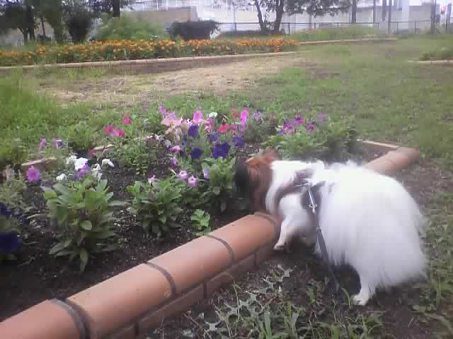 moblog_c5e57952.jpg
