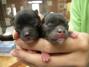 DSCN1388.jpg