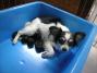 DSCN1389.jpg