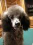 DSCN4173.jpg