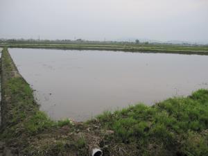 IMG_2837_convert_20120515160108.jpg