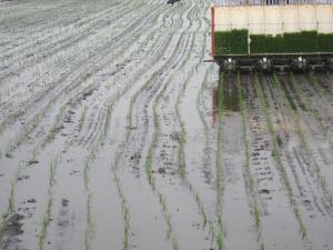 IMG_2848_convert_20120515160519.jpg