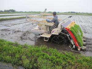IMG_2849_convert_20120515160606.jpg