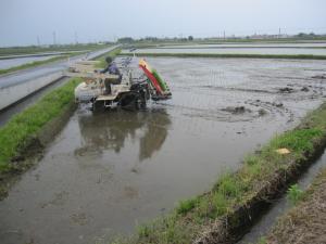 IMG_2854_convert_20120515160714.jpg