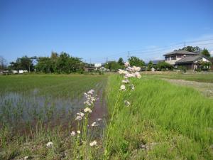 IMG_3172_convert_20120531202211.jpg