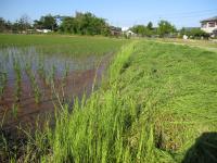 IMG_3180_convert_20120531202318.jpg