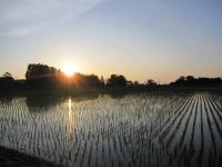 IMG_3187_convert_20120531202356.jpg