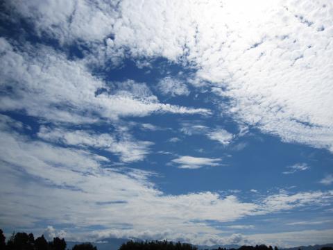IMG_4510_convert_20120830231746.jpg