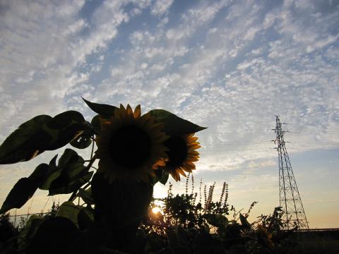 IMG_4712_convert_20121002232851.jpg