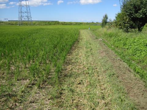 IMG_4734_convert_20121008214224.jpg