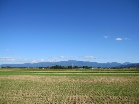 IMG_4738_convert_20121008214320.jpg