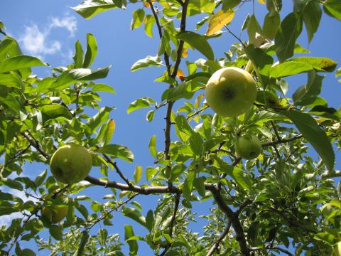 IMG_4756_convert_20121013203256.jpg