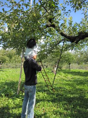 IMG_4759_convert_20121013204726.jpg