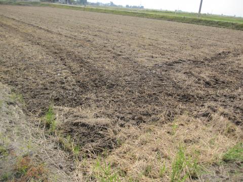 IMG_4777_convert_20121015225606.jpg