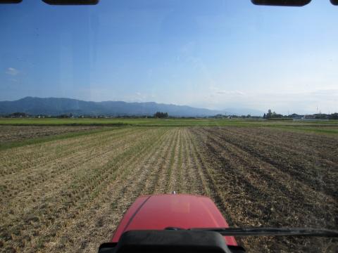 IMG_4778_convert_20121015225655.jpg