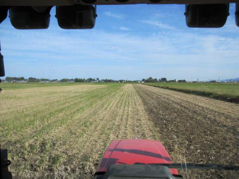 IMG_4784_convert_20121017214858.jpg