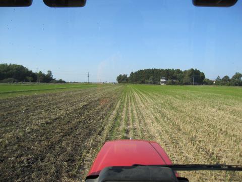 IMG_4801_convert_20121022221246.jpg