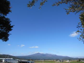 IMG_4878_convert_20121104222306.jpg