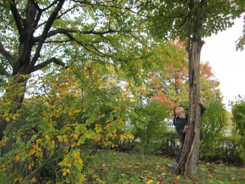 IMG_4912_convert_20121111220418.jpg