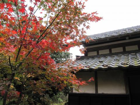 IMG_4916_convert_20121111220444.jpg