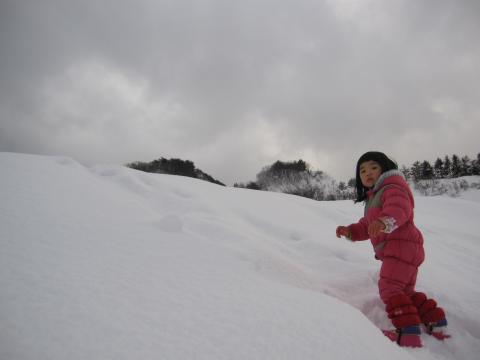 IMG_4984_convert_20130111214937.jpg