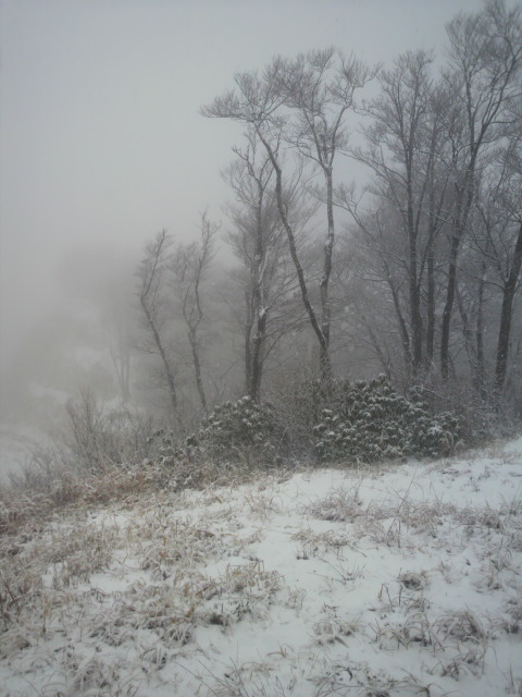 P1000002.jpg