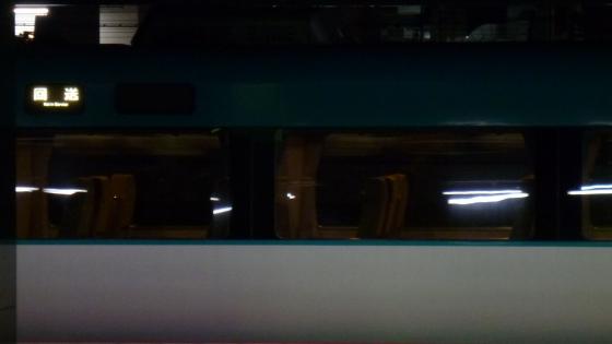 P1050286.jpg