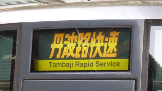 P1060019.jpg