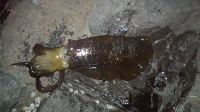 DCIM0510.jpg