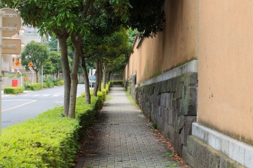 20140719_20.jpg