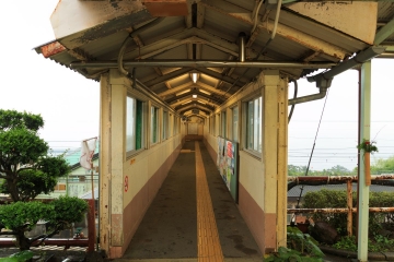 20140719_37.jpg