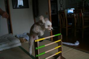 IMG_2050_convert_20120925111352.jpg