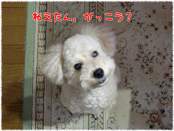 SC53d5AemM7wRbP_1350521184_mj.png