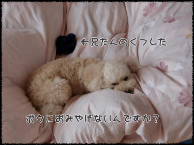 UFAEJc9RzcaUwsY_1352073771_mj_convert_20121105090641.png